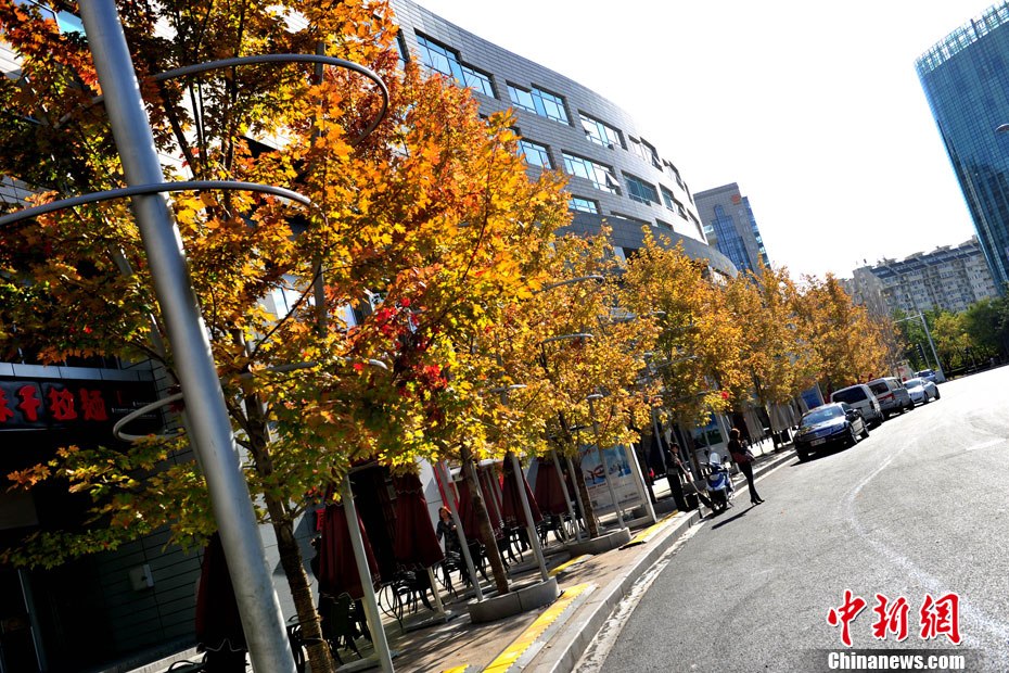 Dix quartiers pittoresques de Beijing en automne