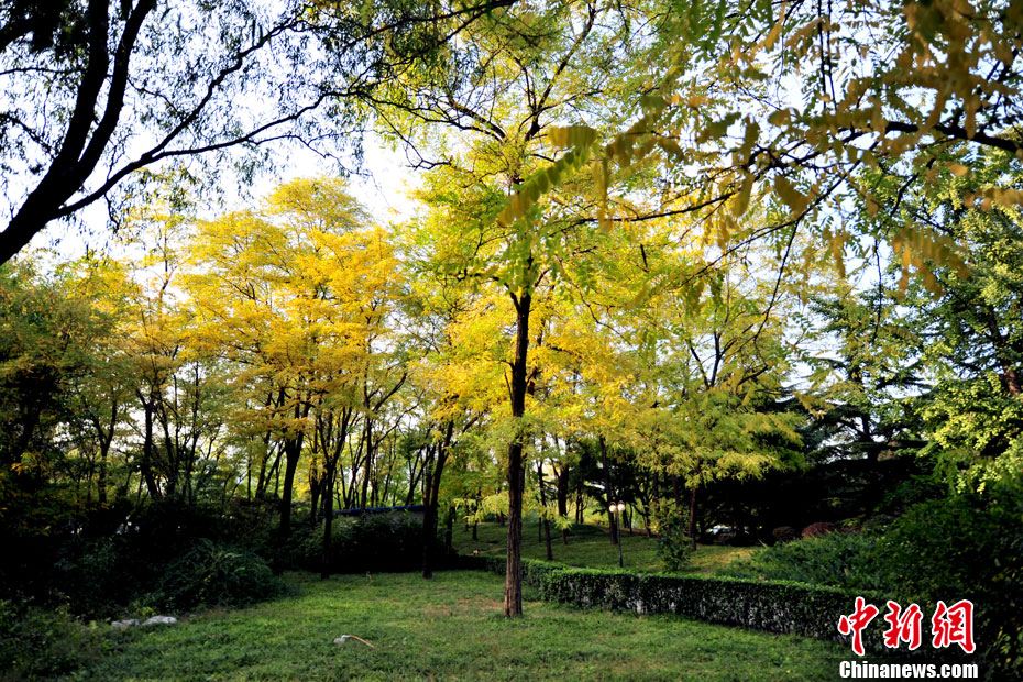 Dix quartiers pittoresques de Beijing en automne