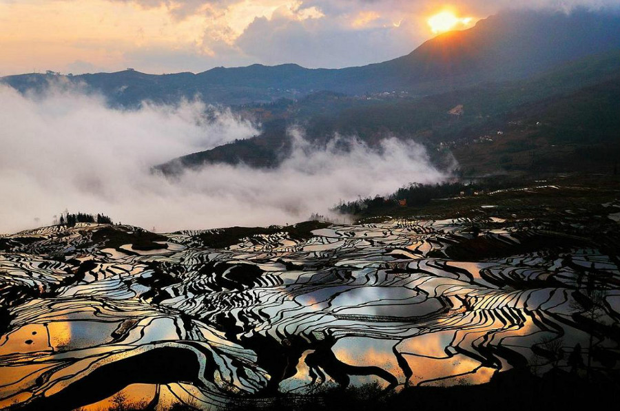 2. Les rizières en terrasses de Yuanyang (ou de Hani)