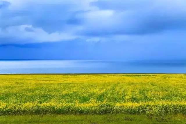 Le lac Qinghai, le plus beau lac de Chine