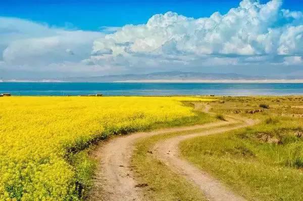 Le lac Qinghai, le plus beau lac de Chine