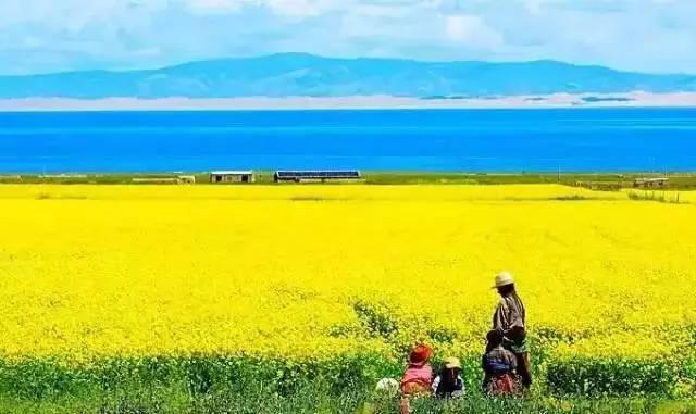 Le lac Qinghai, le plus beau lac de Chine