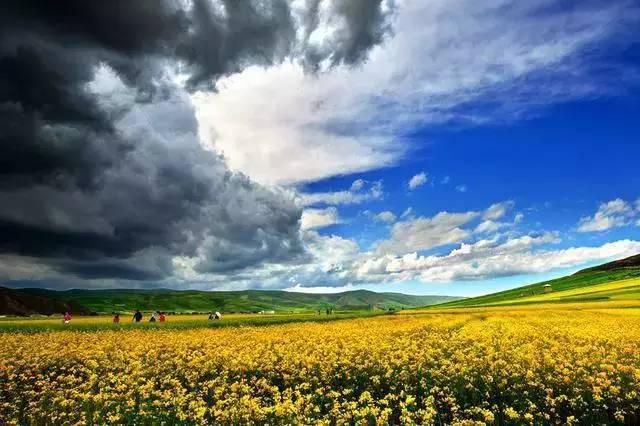 Le lac Qinghai, le plus beau lac de Chine