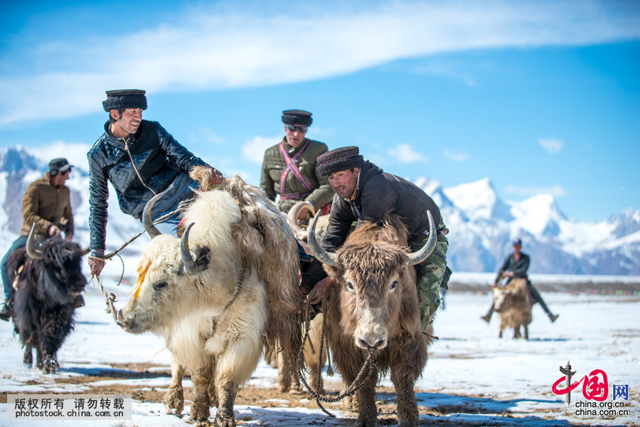 Le polo à dos de yak avec un chevreau décapité en guise de balle, appelé en chinois maoniu diaoyang, est un sport folklorique des Tadjiks aujourd'hui inscrit au patrimoine culturel immatériel ouïgour du Xinjiang.