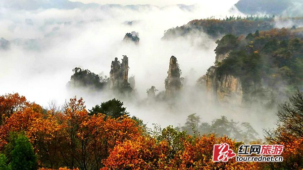 Les monts Tianzi de Zhangjiajie, mystérieux sous la pluie d'hiver