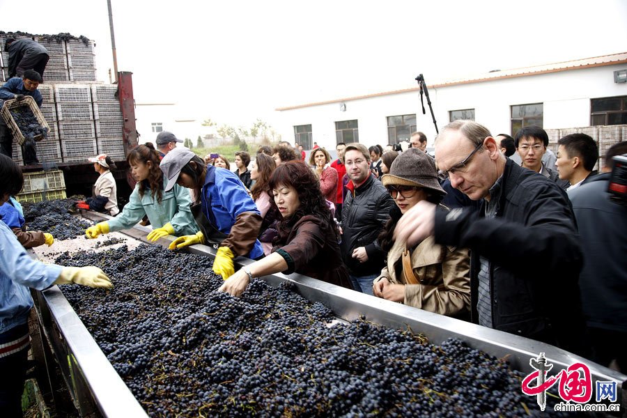 La visite de la presse à raisins.