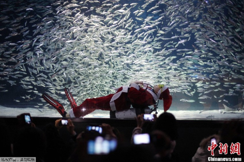 Le père Noël danse, entouré de milliers de sardines